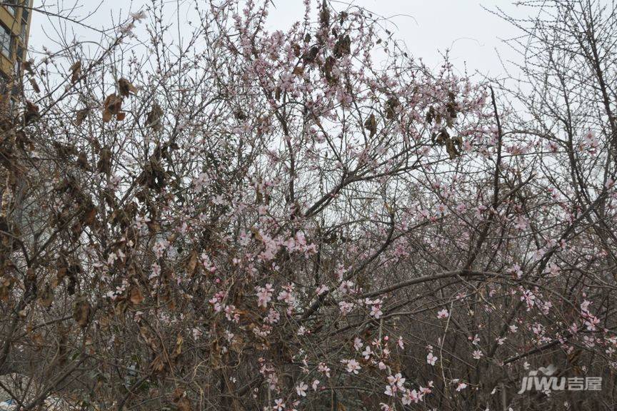 富怡花园实景图